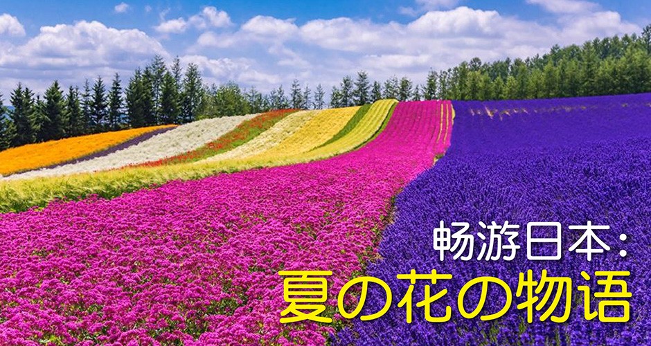 畅游日本: 夏の花の物语